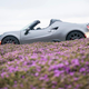 The Alfa Romeo 4C Is One Step Closer To Death